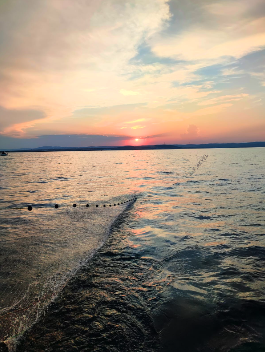 15 Mayıs'ta Karabiga Jumbo Karides Av Sezonu Acılıyor